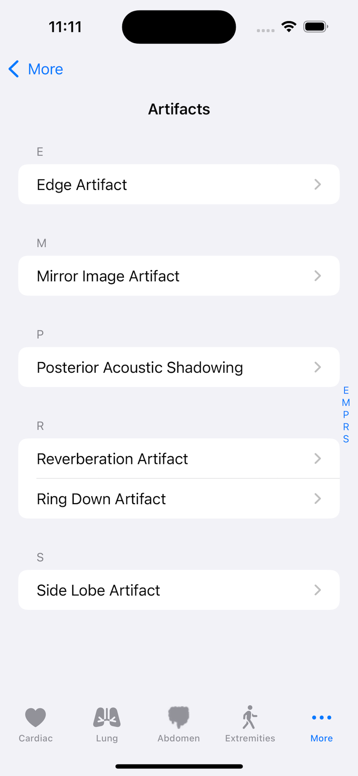 Artifact library list including edge, mirror image, reverberation, ring-down, and side-lobe artifacts